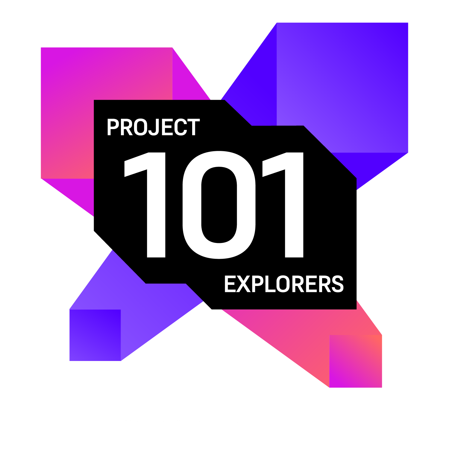Project101 Logo